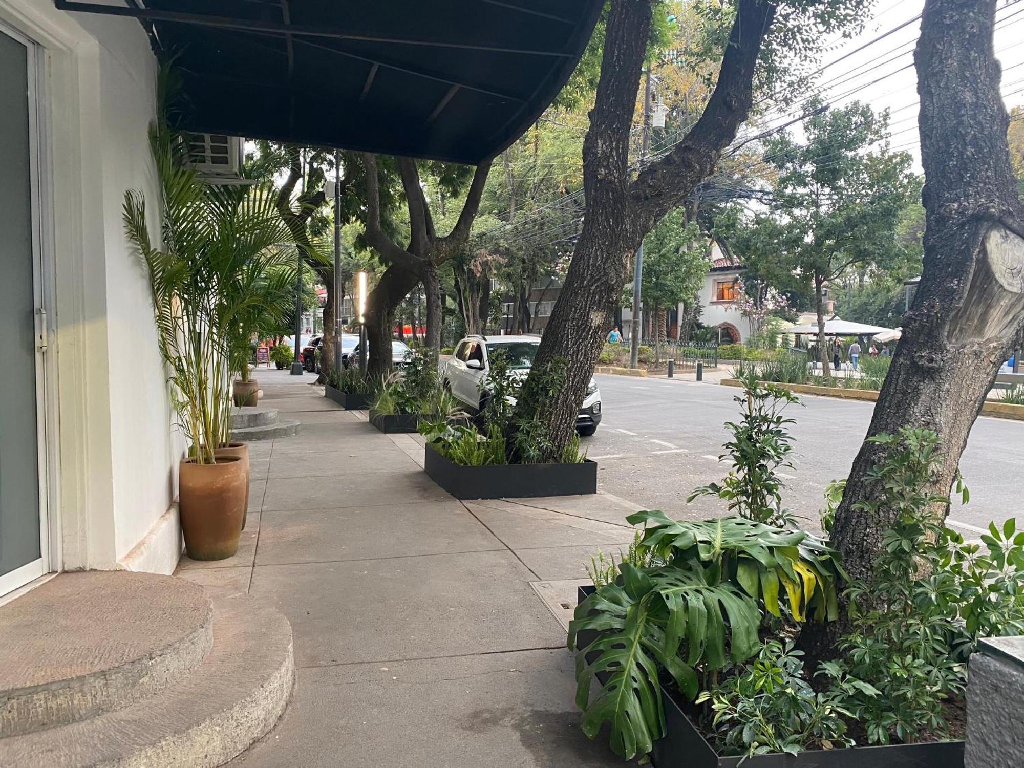 Casa Corp Boutique Suites In Condesa Mexico City Exteriör bild